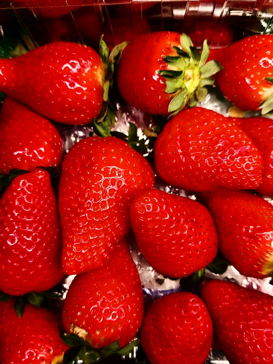 Rena_2026's tweet photo. 🇪🇸☀️太陽の下で美味しいごはんと甘いいちご🍓✨
スペインでの幸せなひととき。
美味しさも景色も最高だった♡

#スペイン #アリカンテ #eatinghealthy #spain🇪🇸 #alicante 
🇪🇸❤️✨ https://t.co/XUlwtxagmy