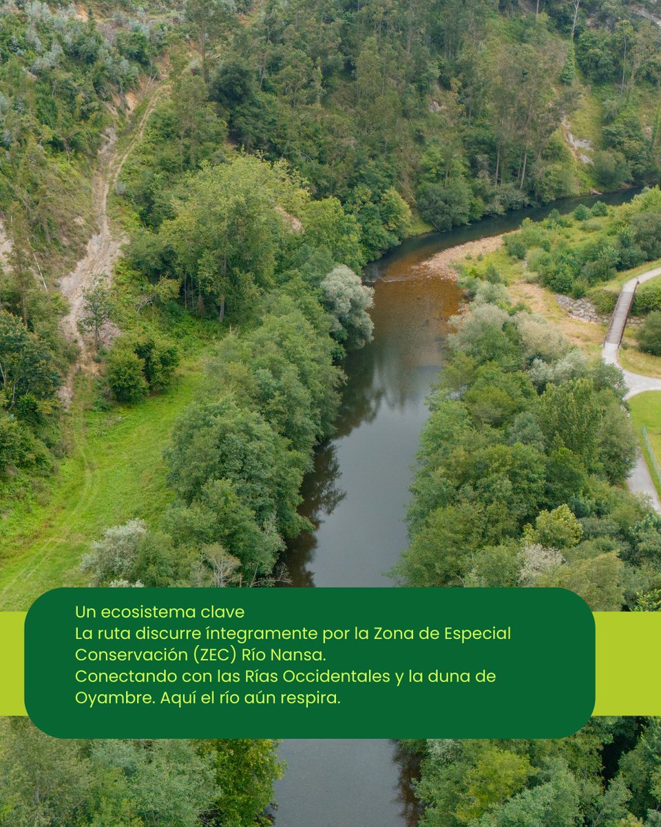 Steps for LIFE tweet media