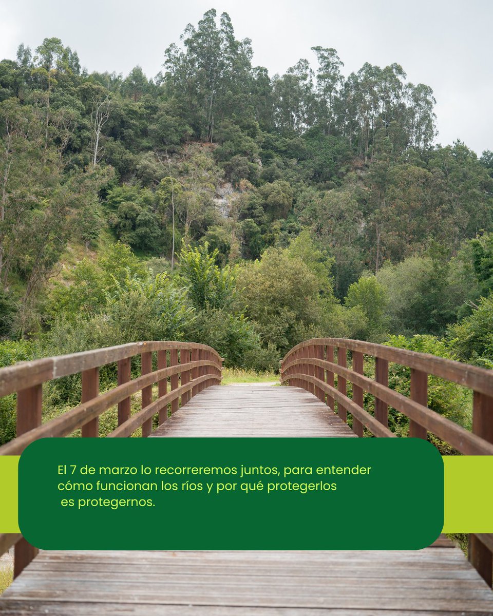 Steps for LIFE tweet media