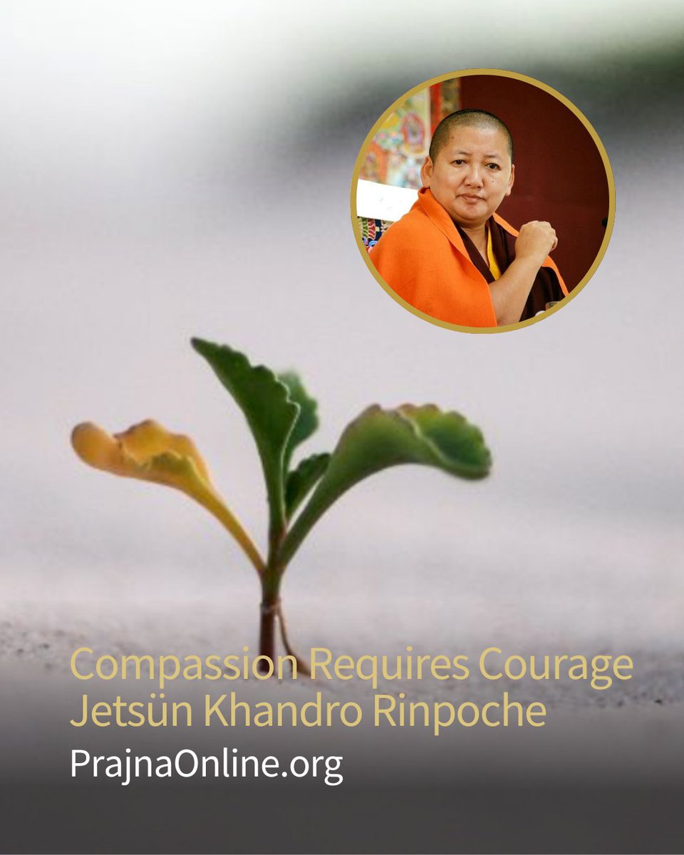 It is crucial to realise that #compassion is not simply an adjective one puts on in relation to the #Buddhist path of #meditation, but something that requires introspection. It requires tremendous #courage, contemplation, and #insight into human nature.

prajnaonline.org/video/compassi…