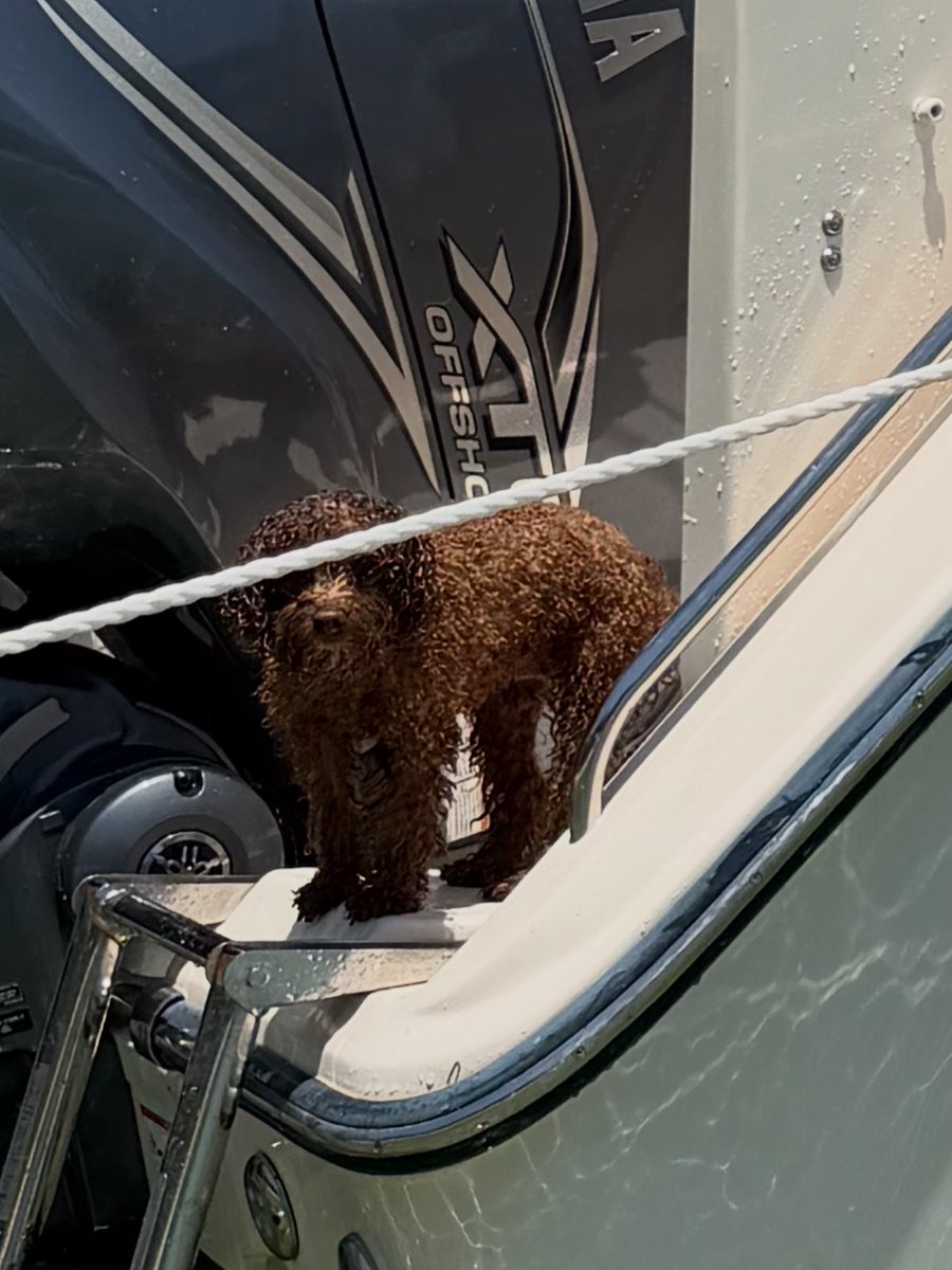 Grady-White Boats tweet media