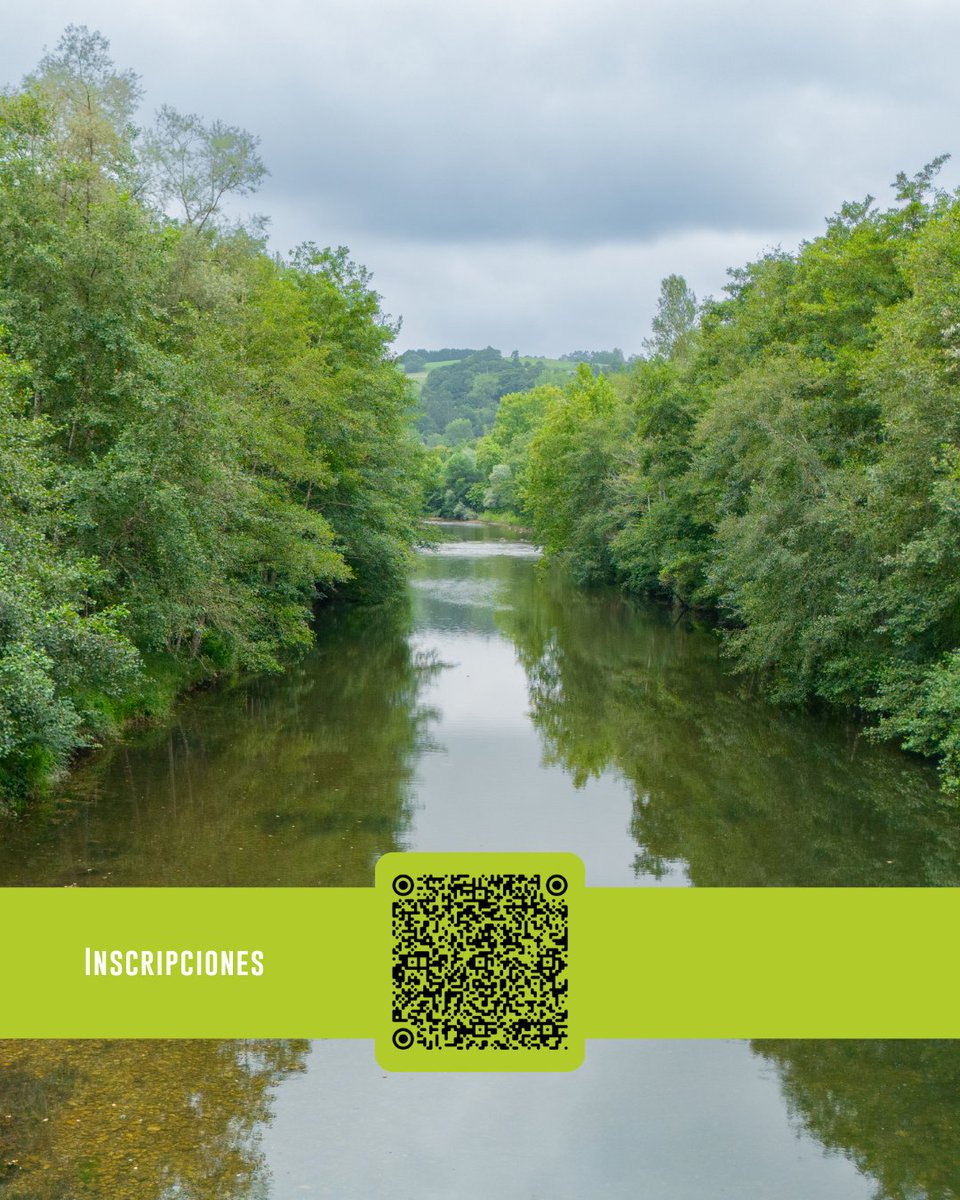 Steps for LIFE tweet media