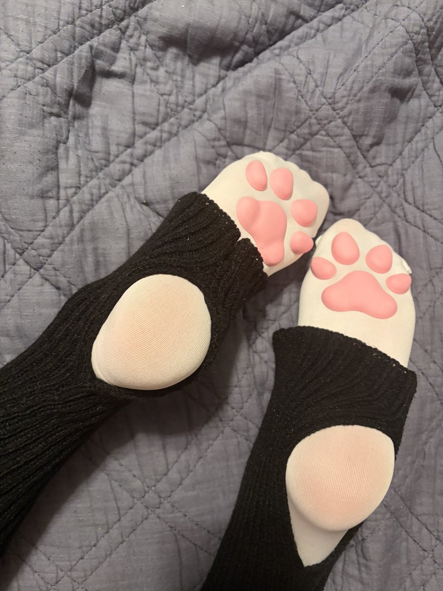 satoshielgato's tweet photo. i got these heel holed socks, do they look good? https://t.co/n86MAgnUsm