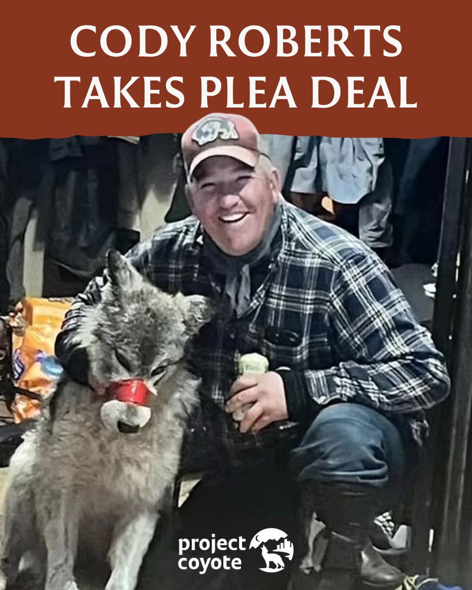Project Coyote tweet media