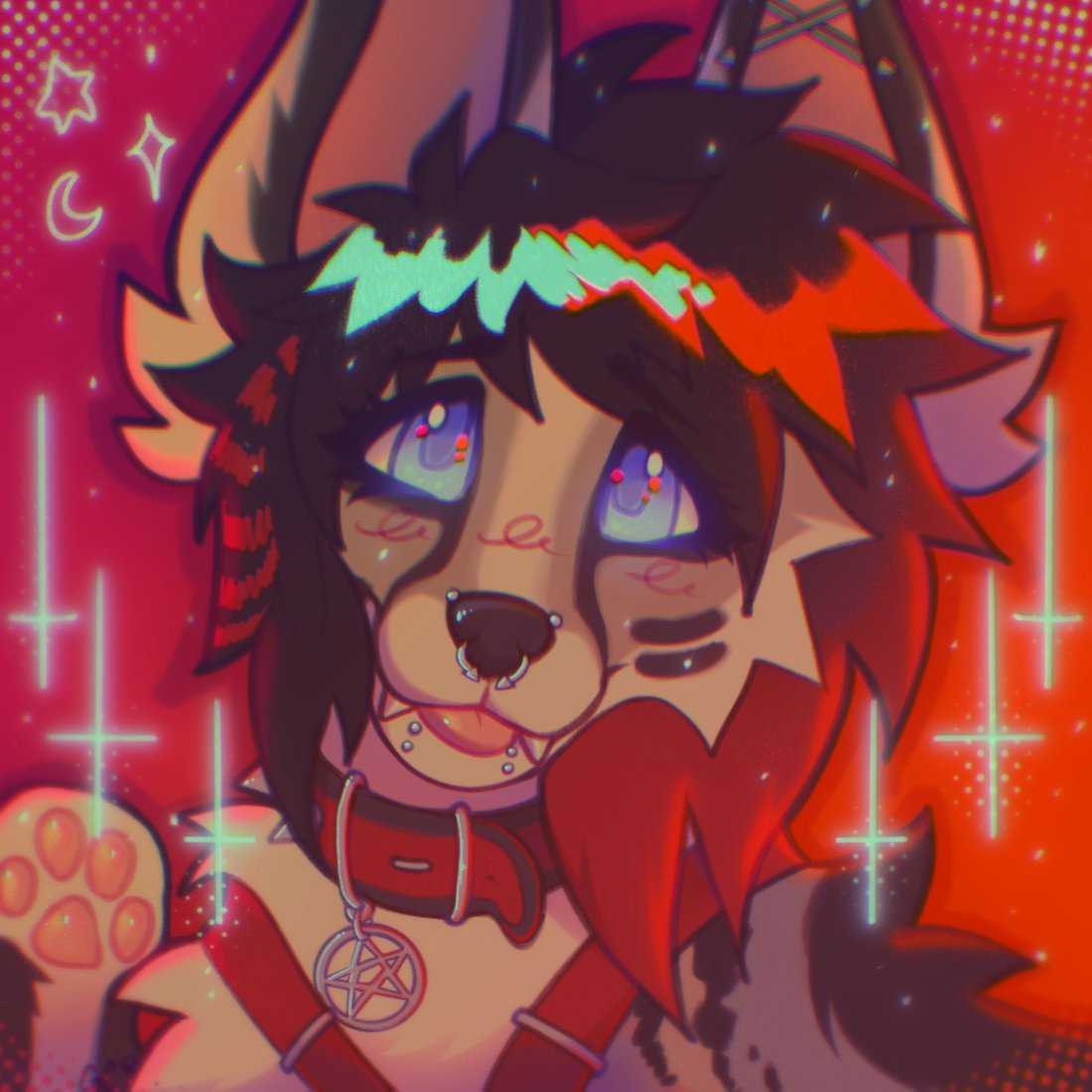 dodent....🐀 tweet media