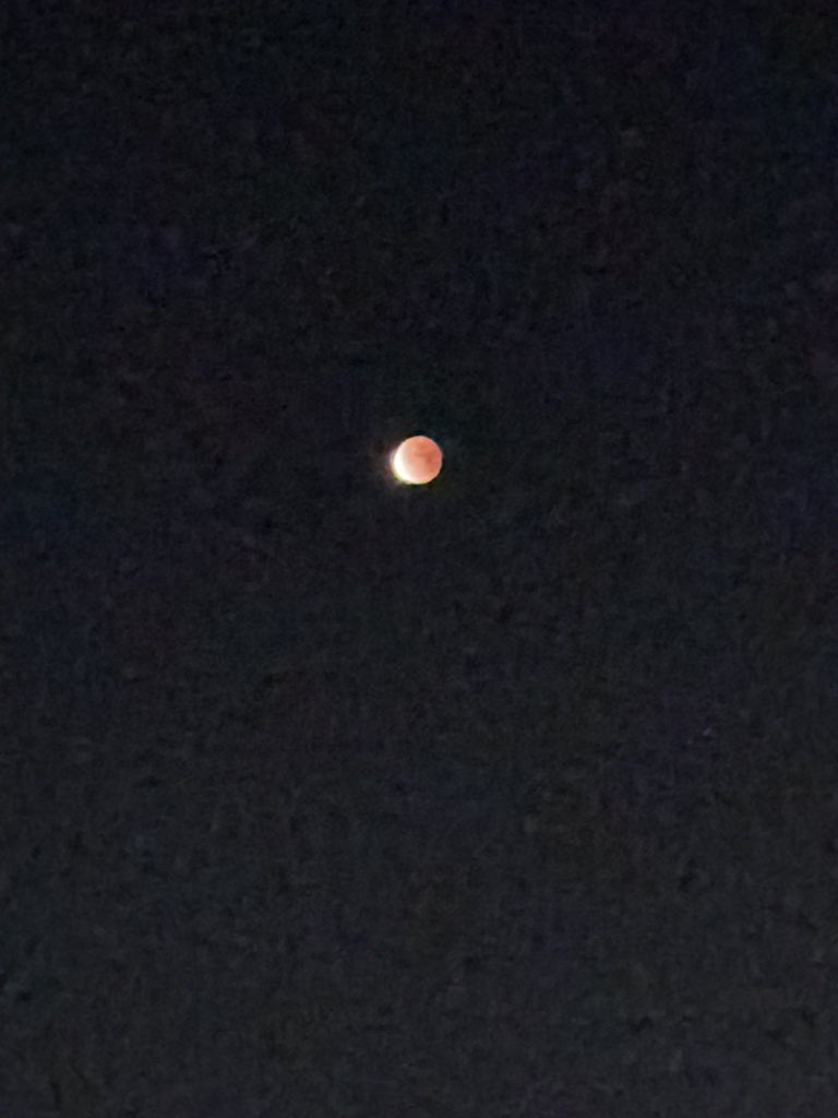 5am in Arizona this morning. Blood Moon