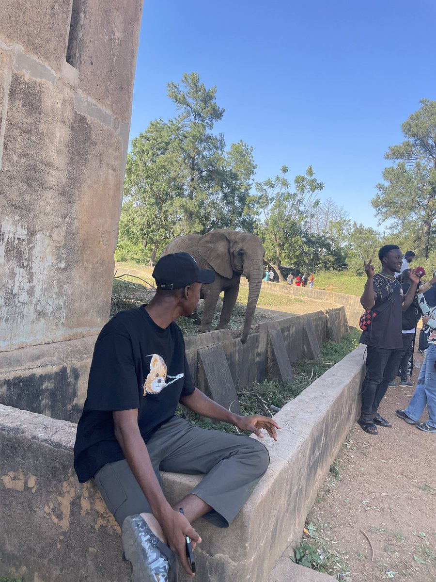 Lord Kronos 👾 tweet media