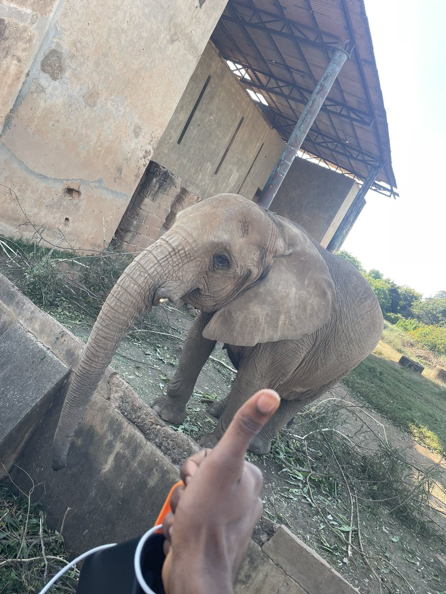 Lord Kronos 👾 tweet media