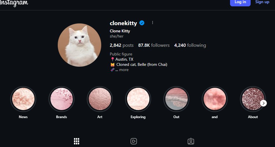 HonestDev7 tweet media