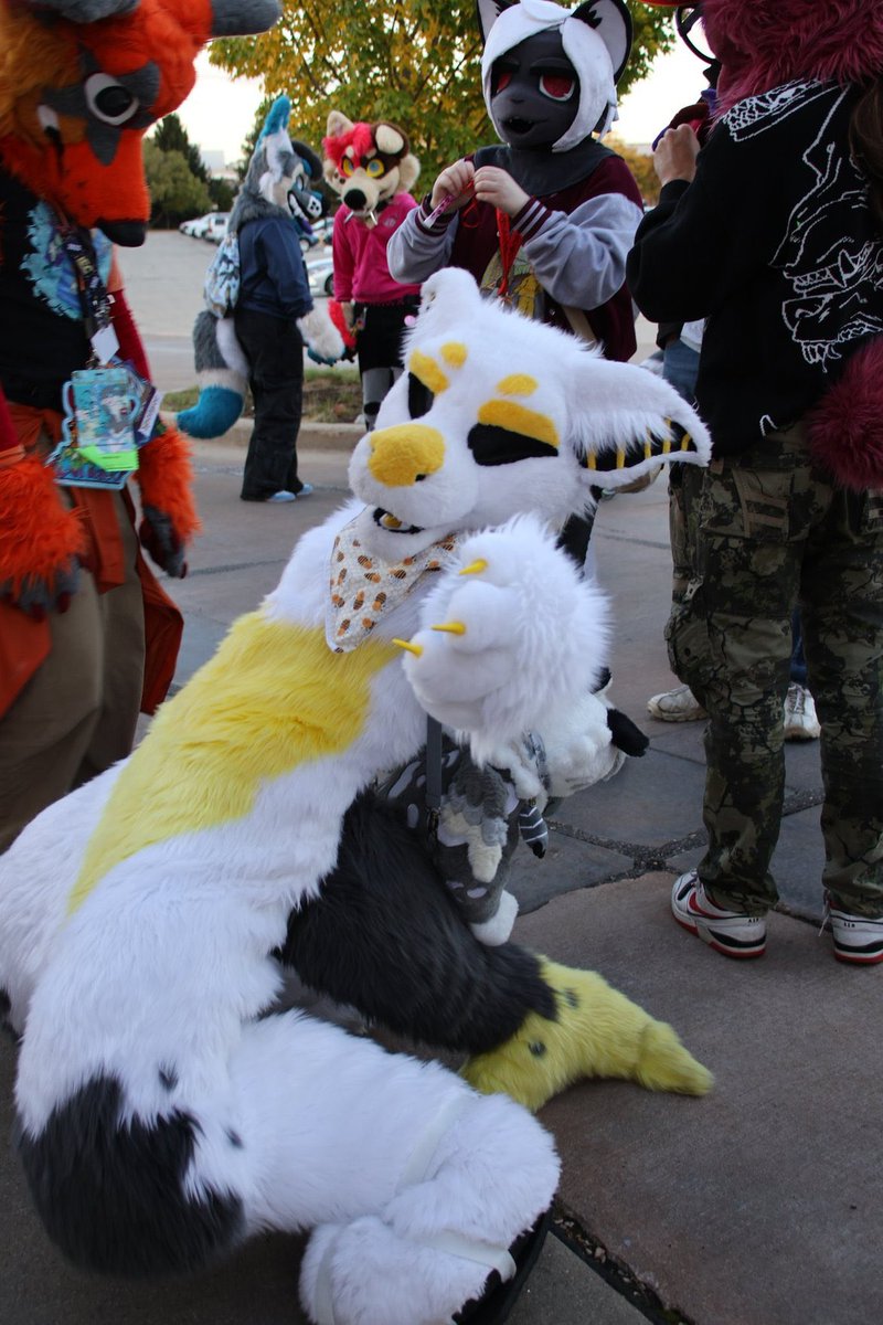 Tango Mango 🥭 tweet media