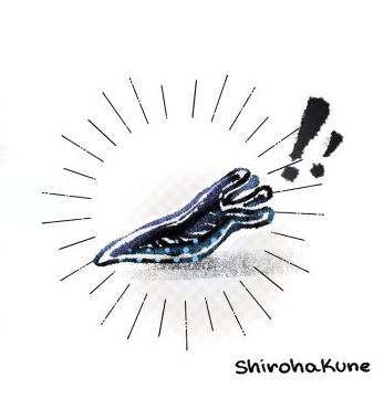 nora 🦇 dokomi tweet media