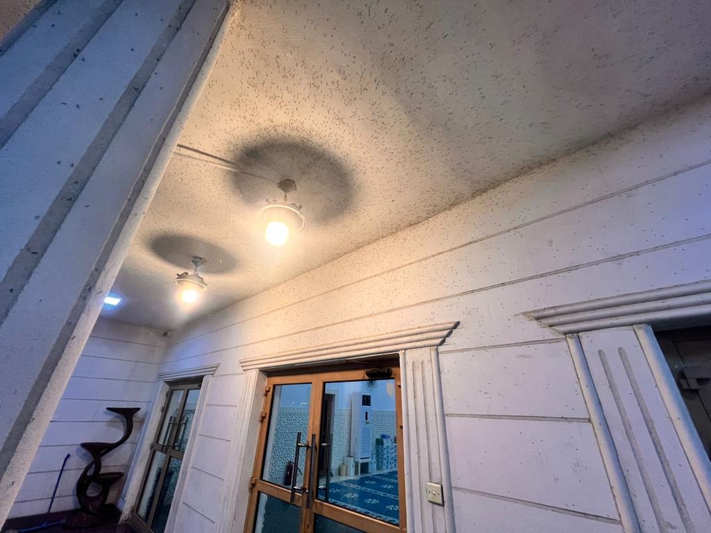 معاناة حي النورس الدمام tweet media