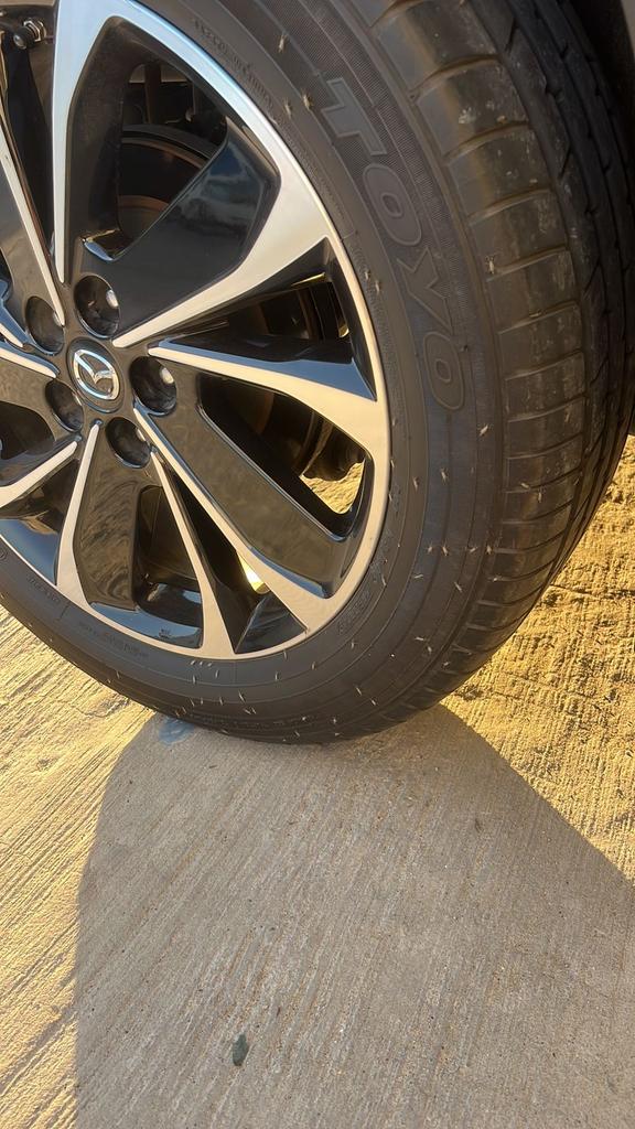 معاناة حي النورس الدمام tweet media