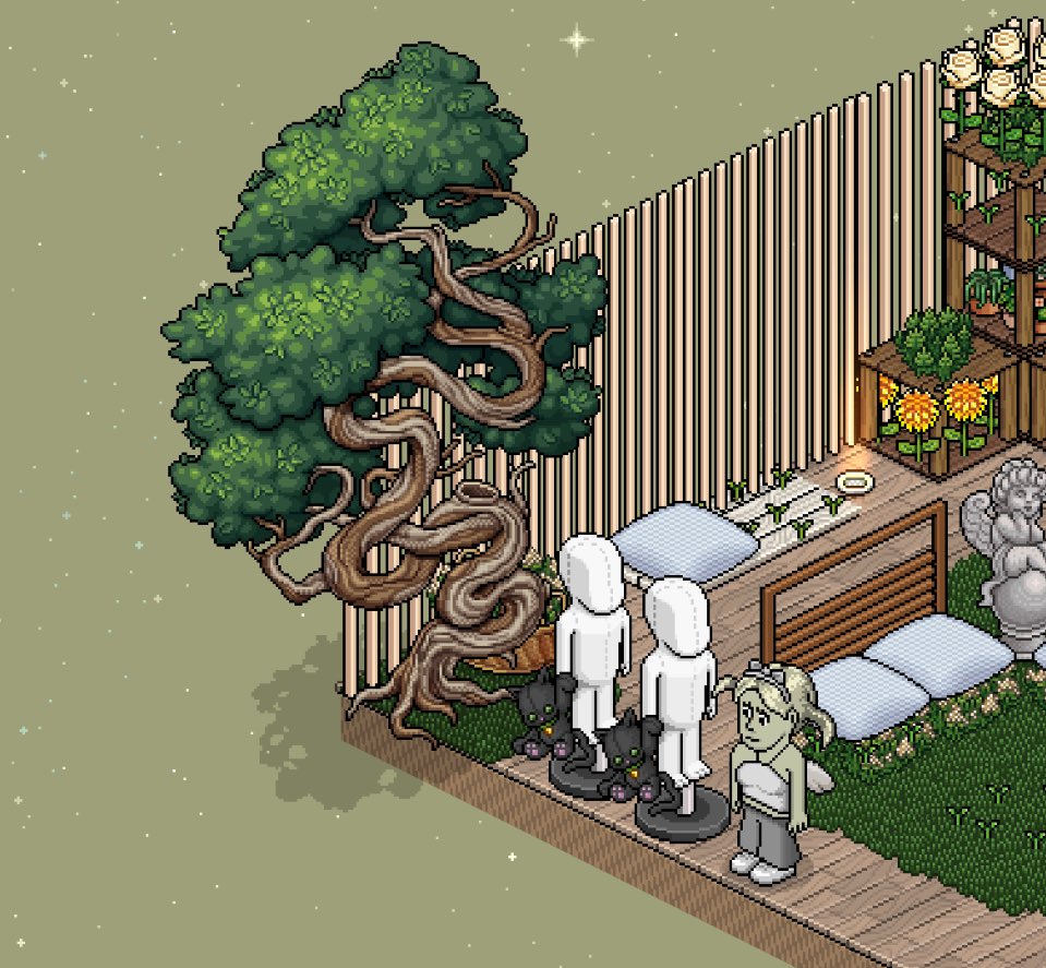 nueve cajitas, dos gatitos💫🍀