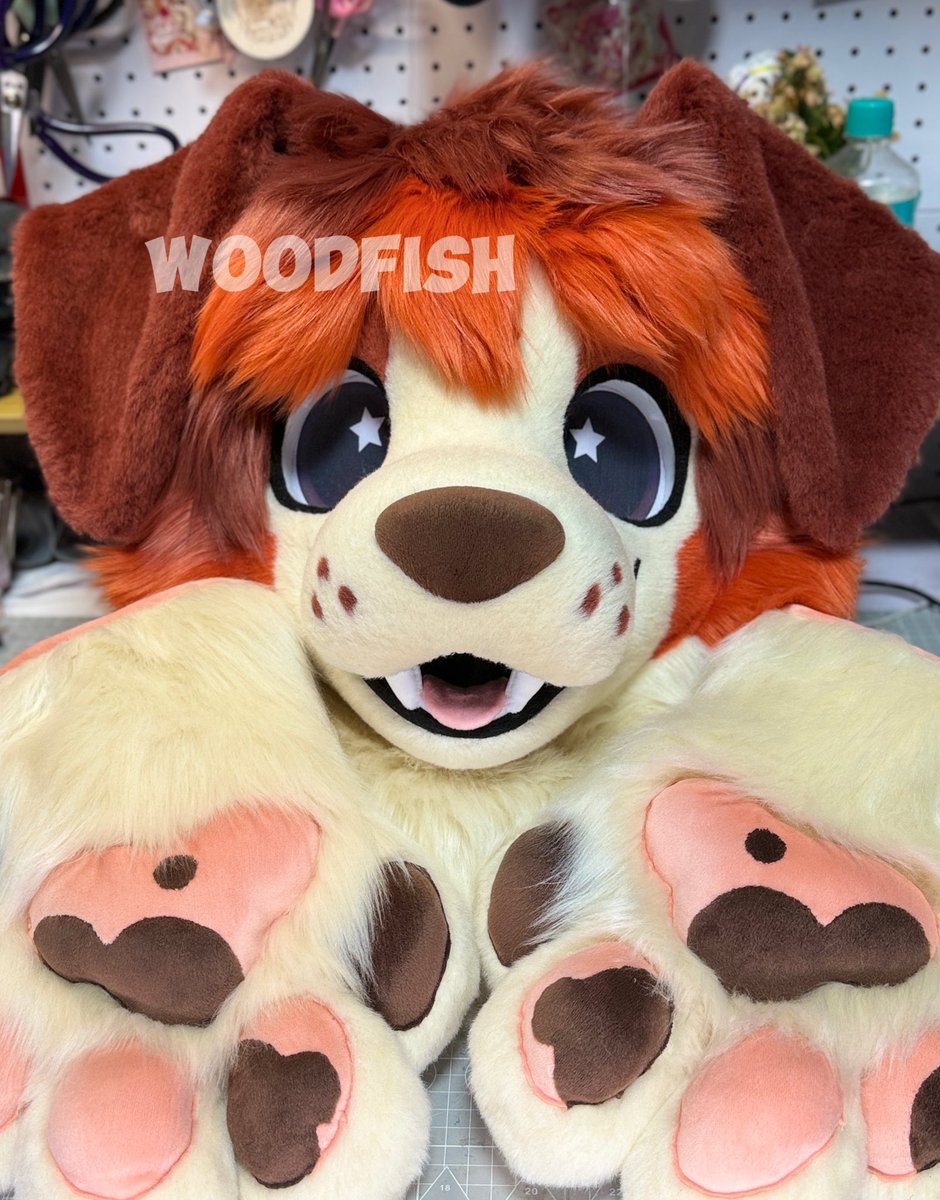 WOODFISH tweet media