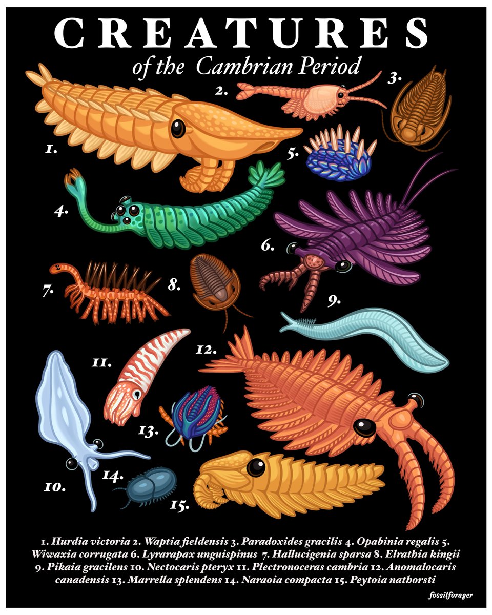 Nicole 🪲 tweet media