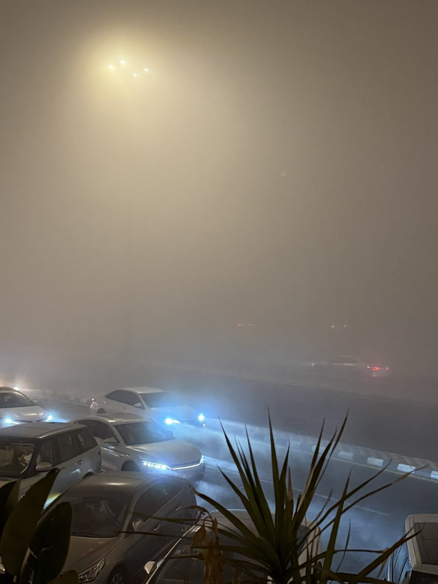 قهوة وضباااااب🤎