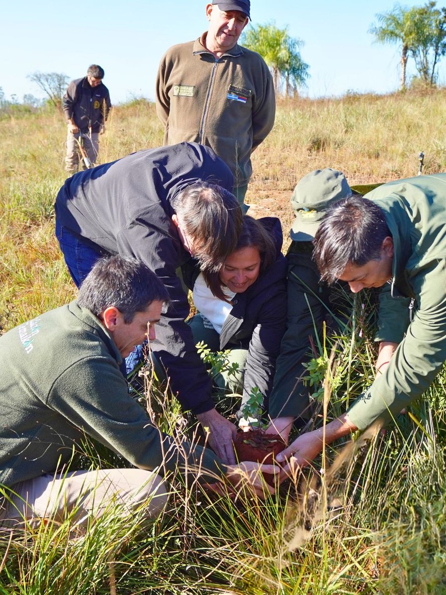 Fundación Temaikèn tweet media