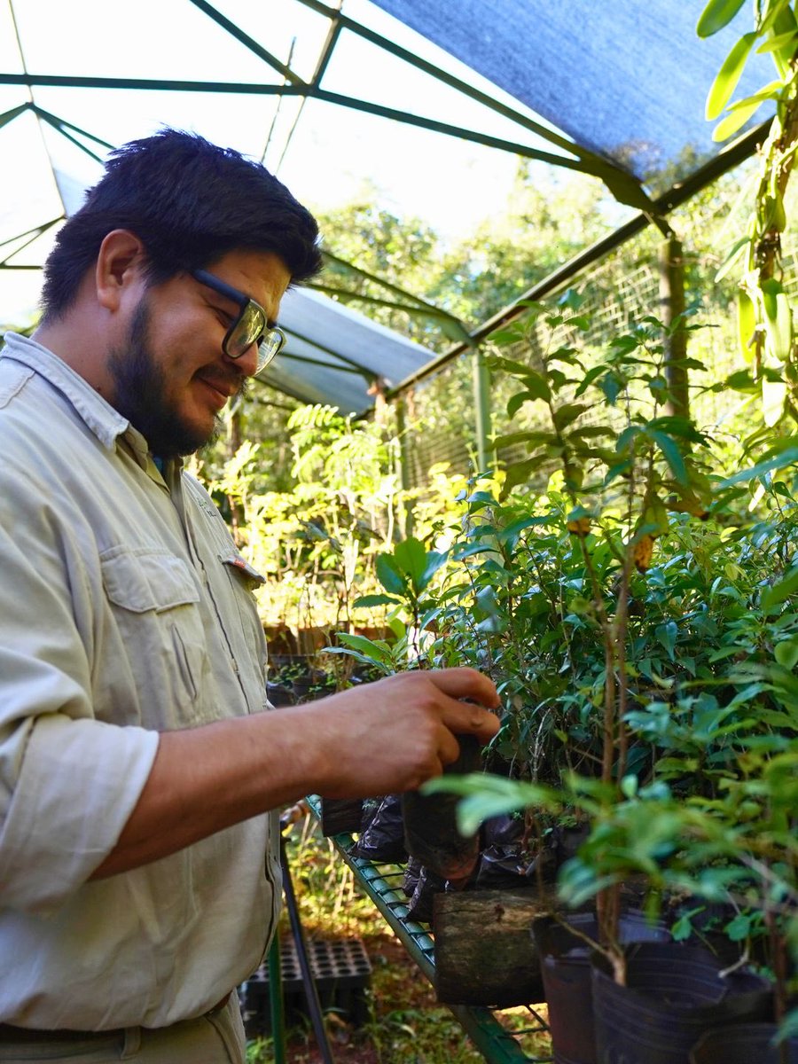 Fundación Temaikèn tweet media