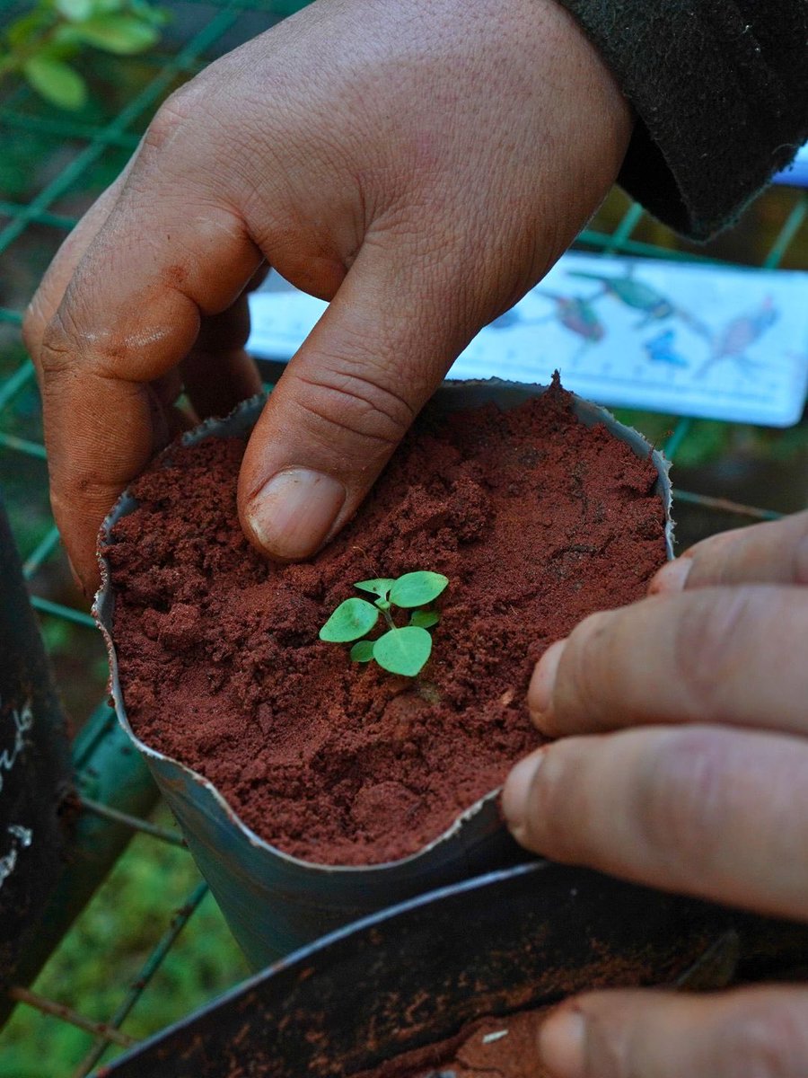Fundación Temaikèn tweet media