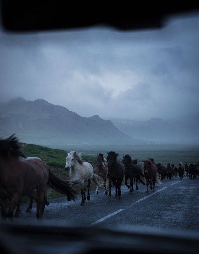 Olmuş olan, olacak olanlar arasında en hayırlı olandır.  

İbn-i Arabi