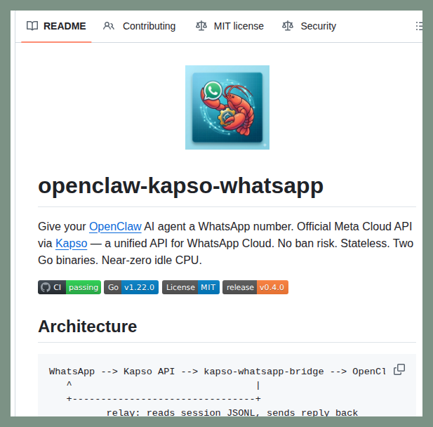 Tom Dörr tweet media