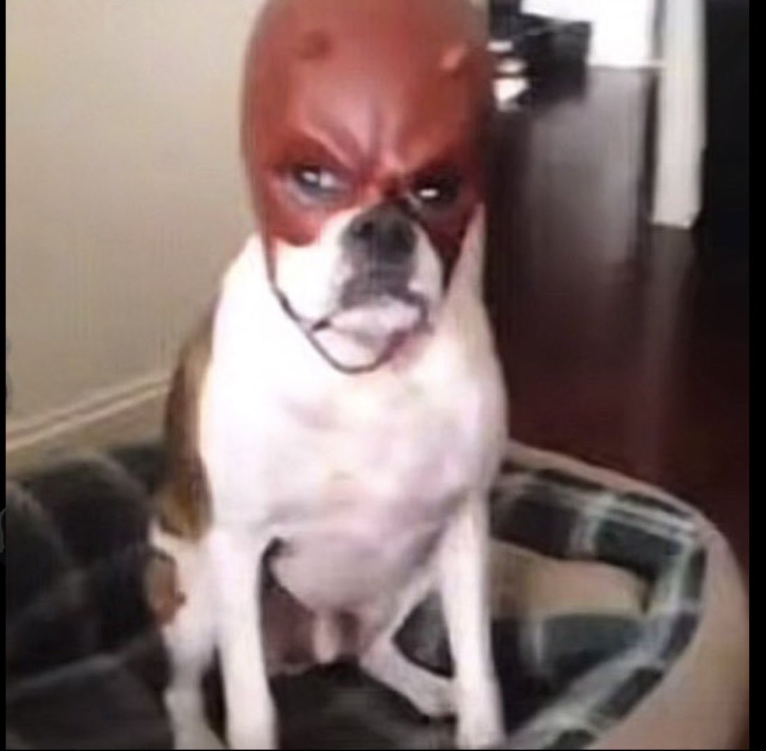 Stable Ronaldo tweet media