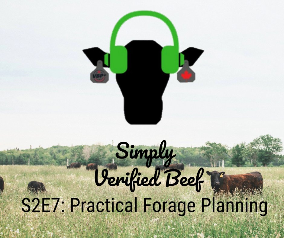 VBP+ Canada tweet media