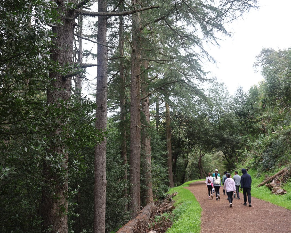 UC Berkeley Haas tweet media