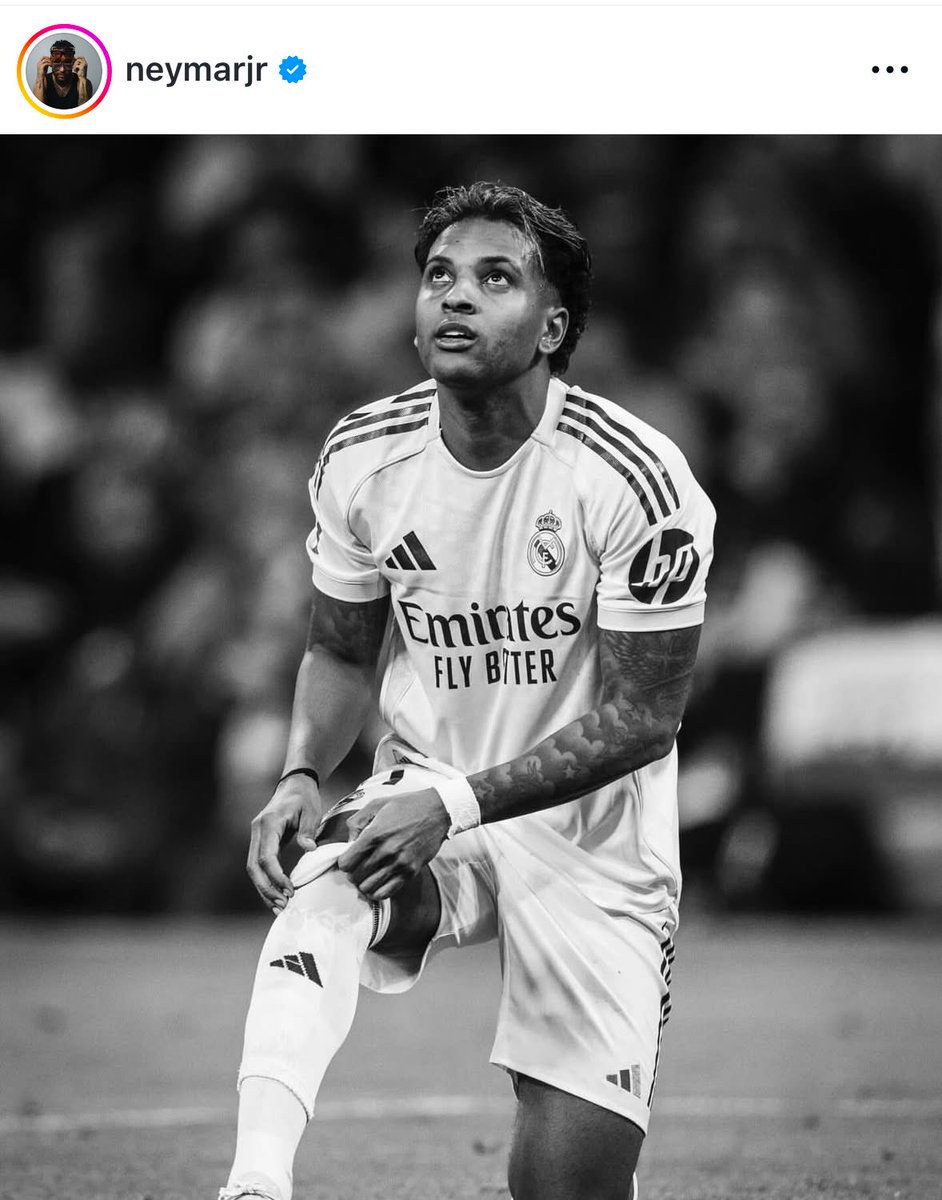 Madrid Zone tweet media