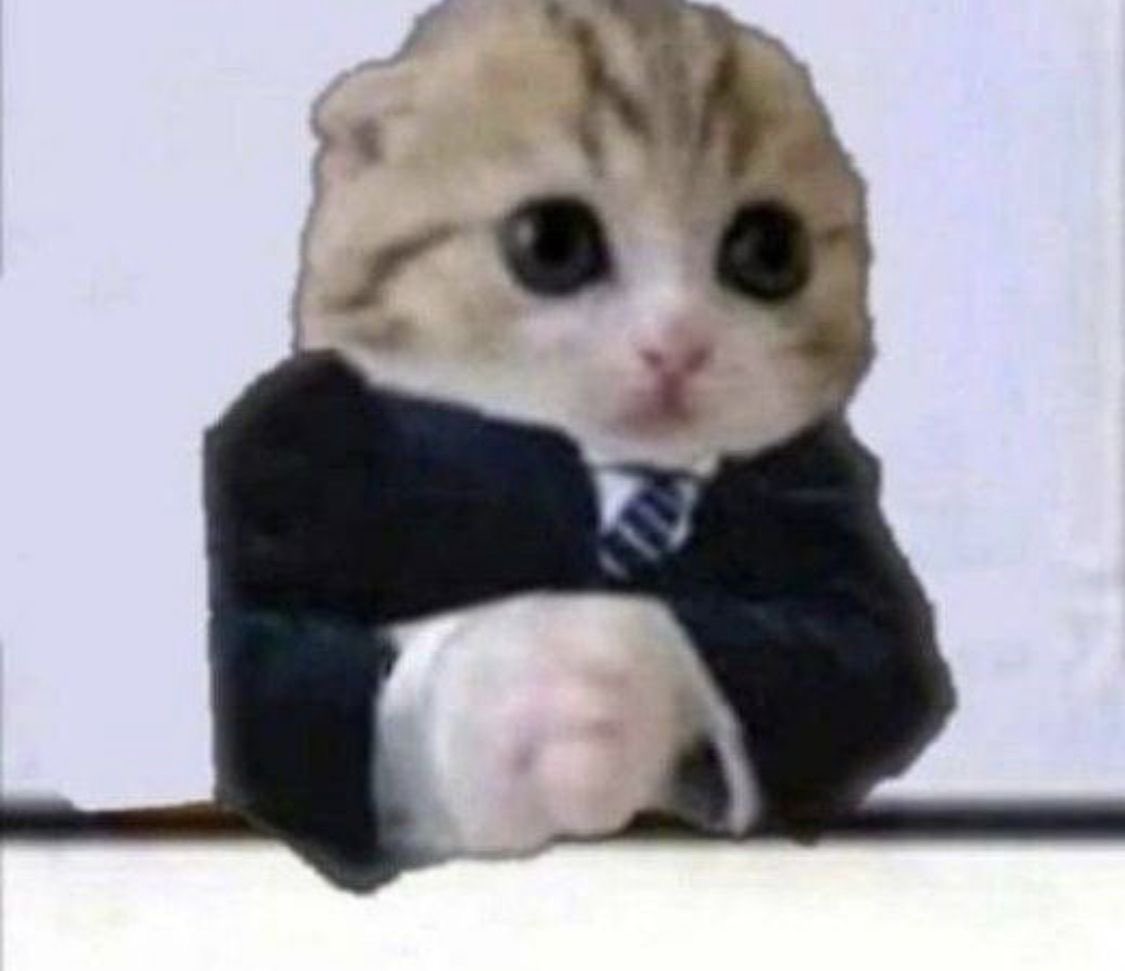 juju .ᐟ sevEN- tweet media