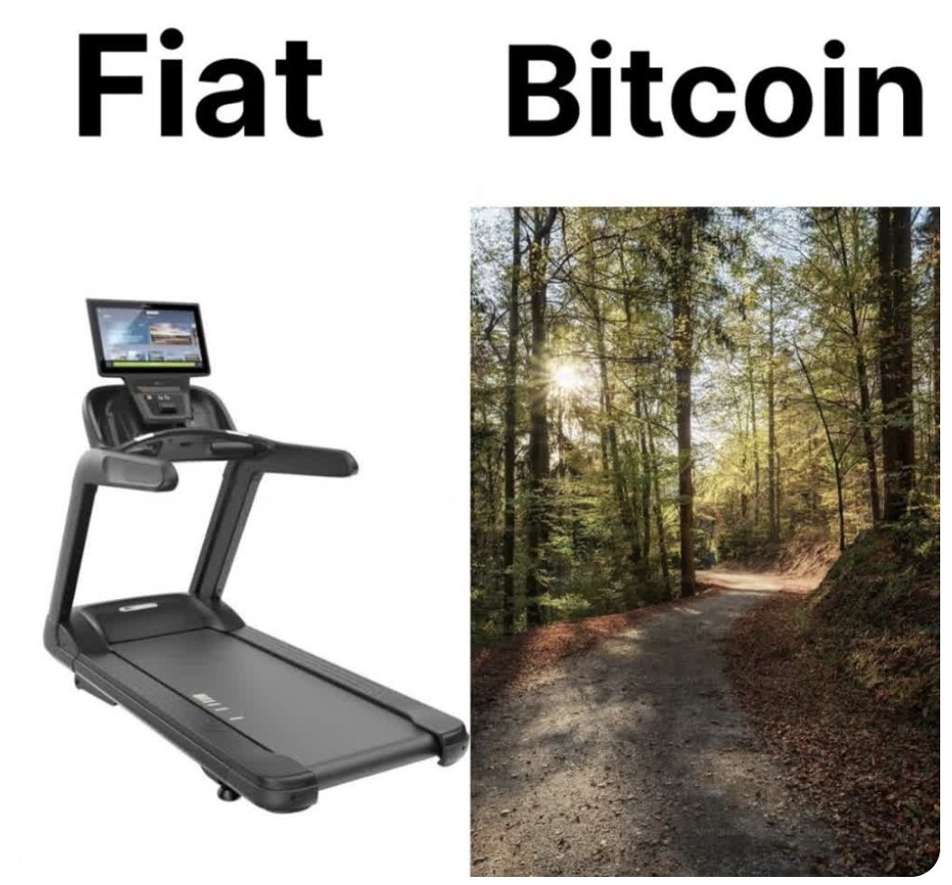 The Bitcoin Diaries Fashion tweet media