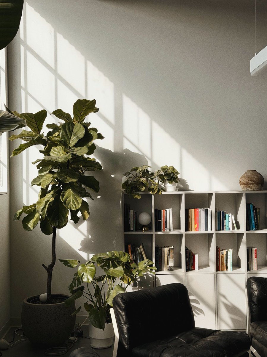 Eugenia Kuyda tweet media