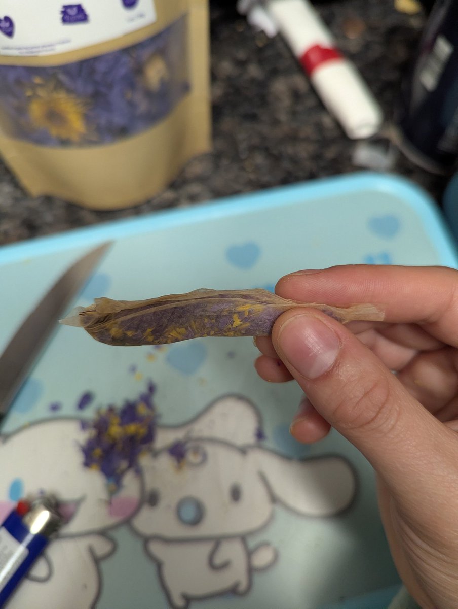 four loko's basilisk 🌼🇵🇸🏳️⚧️⚧️ tweet media