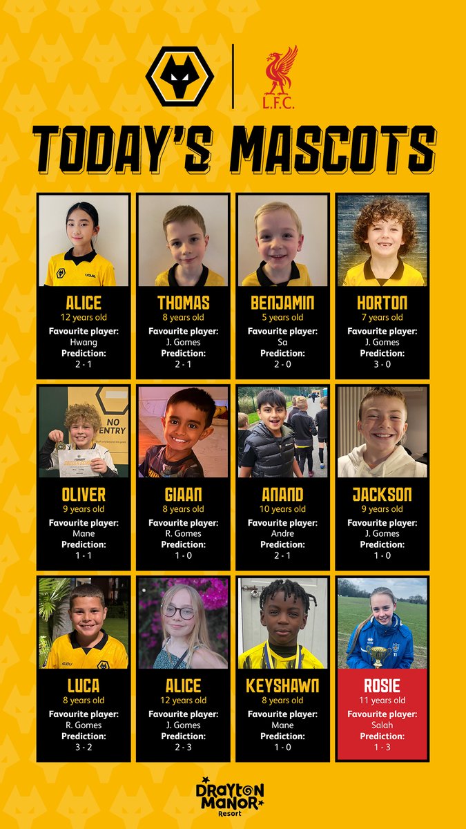 Young Wolves tweet media