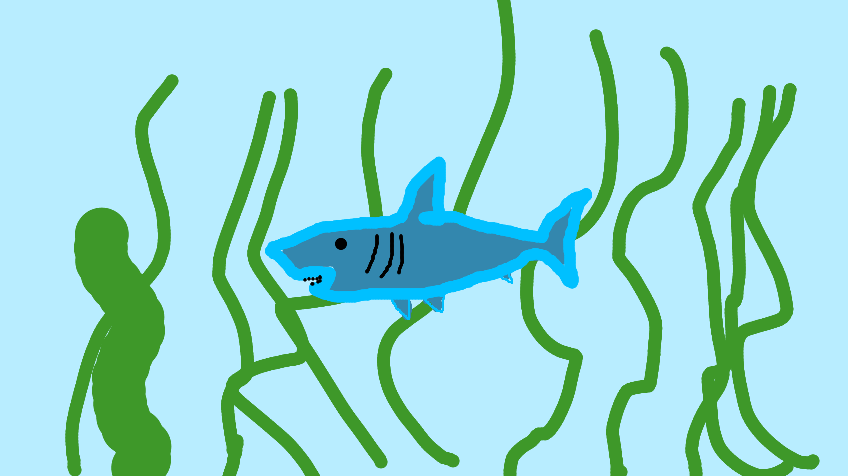 McSharkyy tweet media