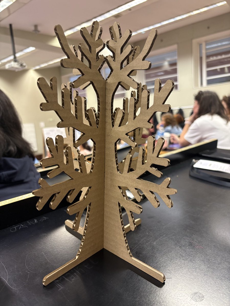 L'Arenal de Llevant tweet media