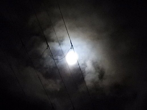 3月の満月
空の明るさに飛び出してしまいました。
上着なくても大丈夫。
春になりました。