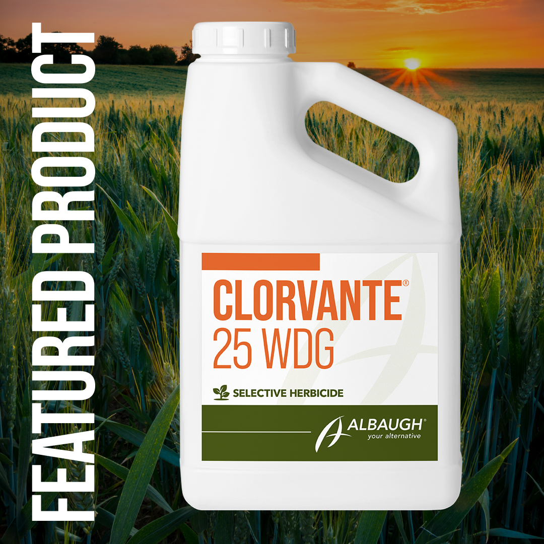Are broadleaf weeds taking over your cereal crops? Clorvante® 25 WDG is a selective pre- or post-emergent herbicide for control of hard-to-kill annual broadleaf weeds in wheat, barley, and oats. loom.ly/_w_Eh_g #YourAlternative