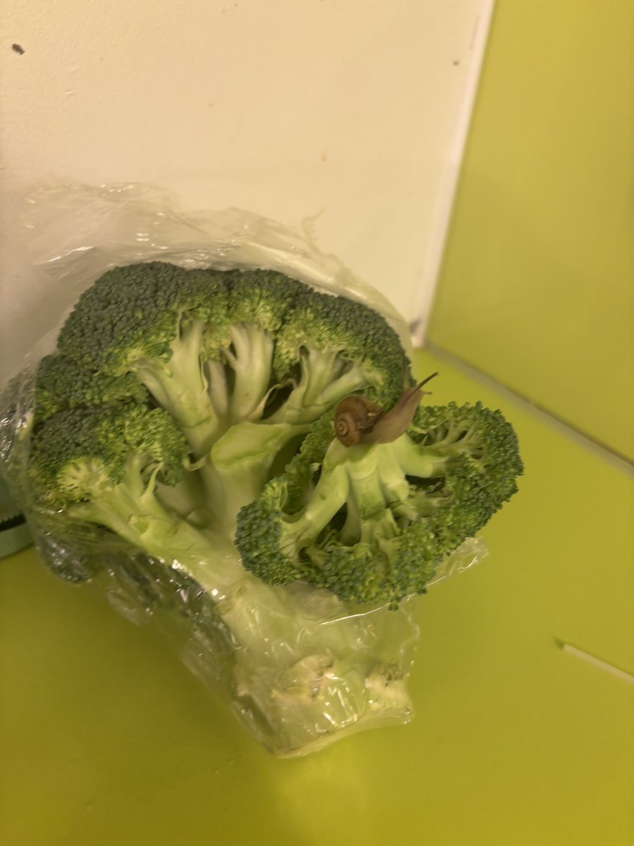 Samantha Martin tweet media