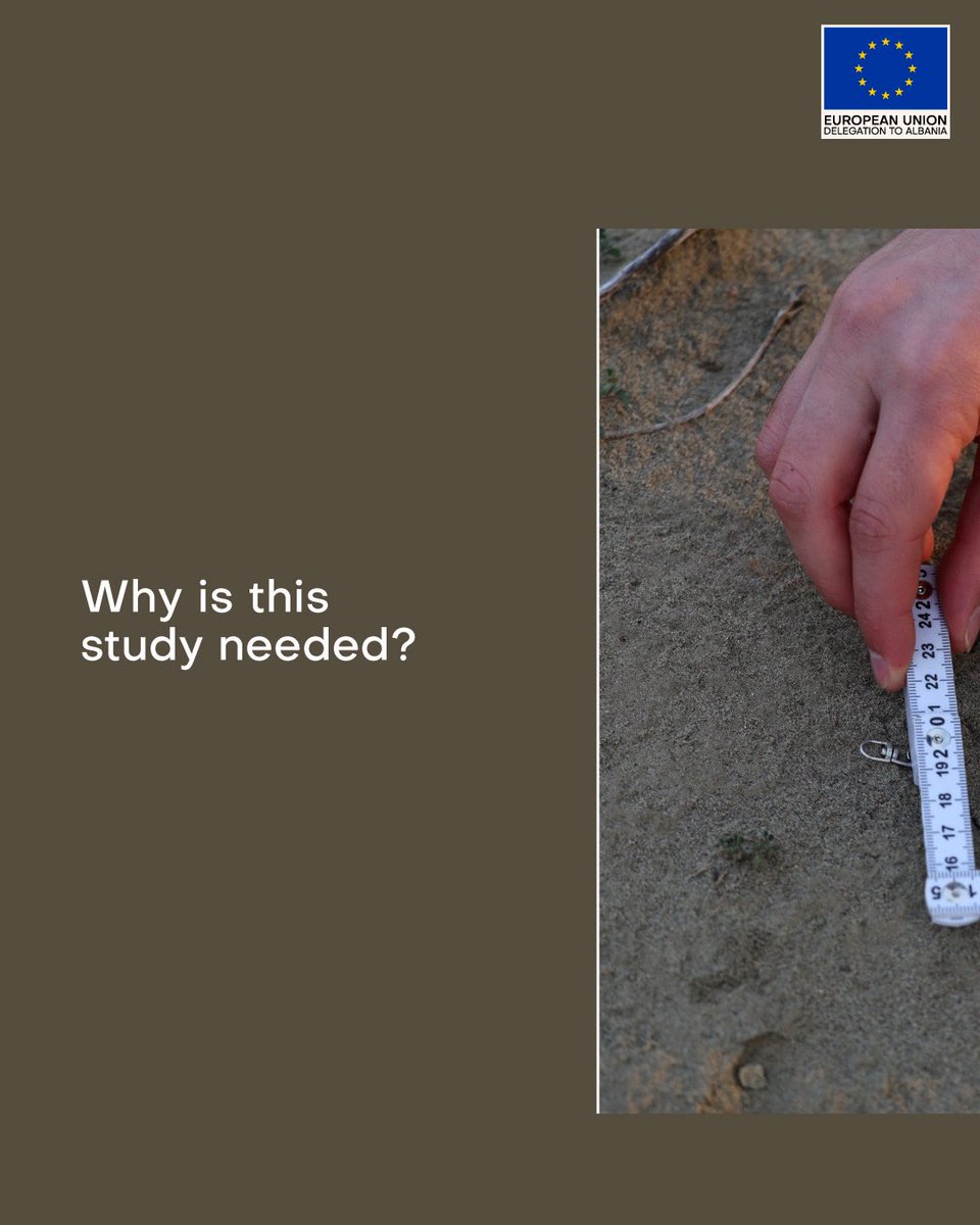 EU in Albania tweet media