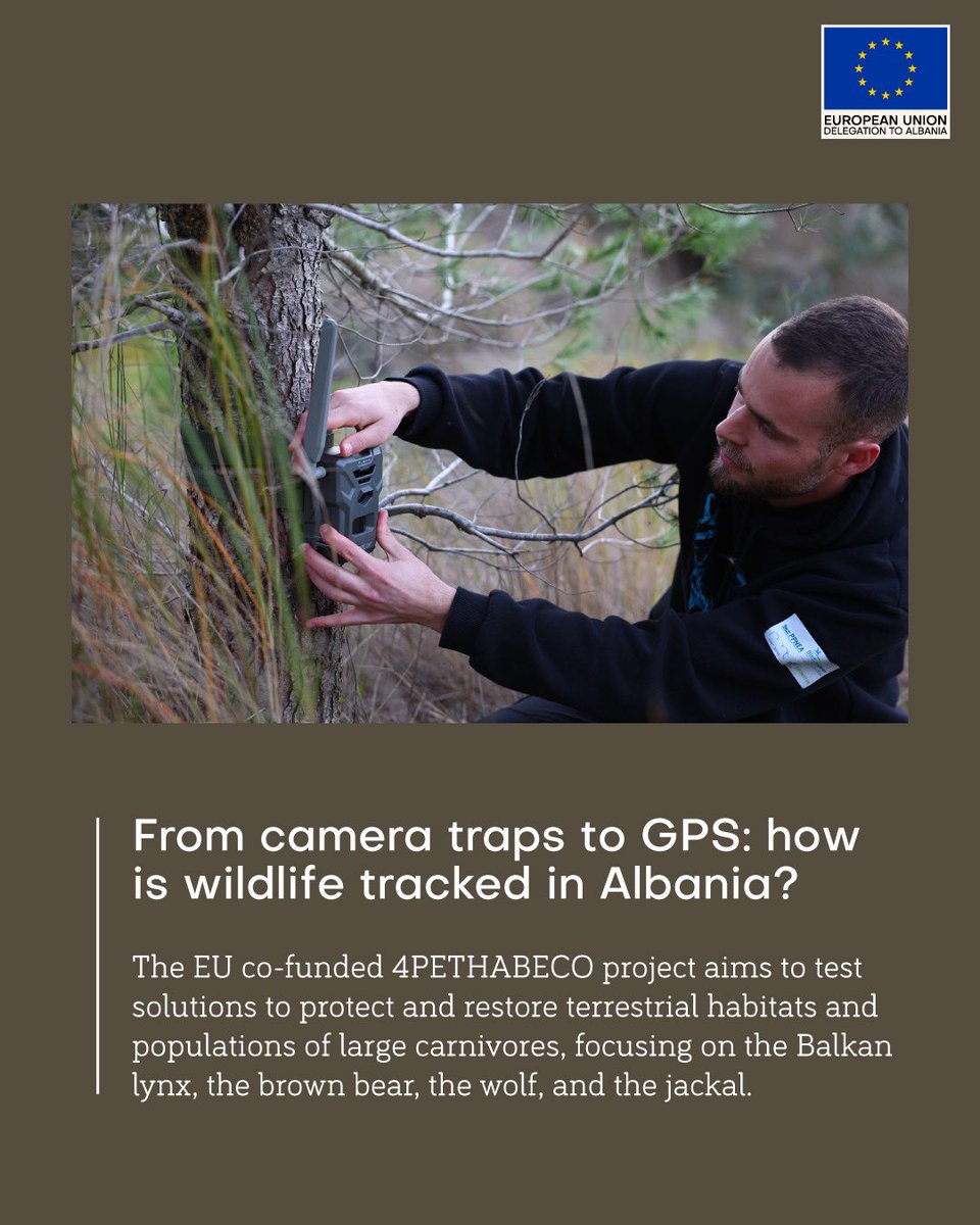 EU in Albania tweet media