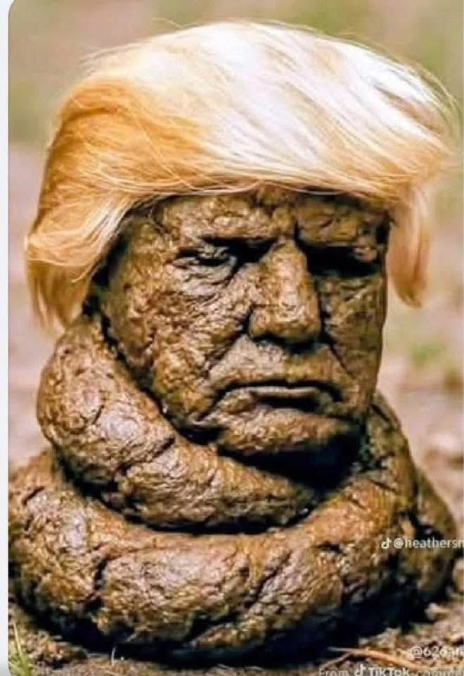 SportyShortyJan's tweet photo. @siamak_hadadi @FoxNews Worst president in American. https://t.co/fmqVIWBF7v