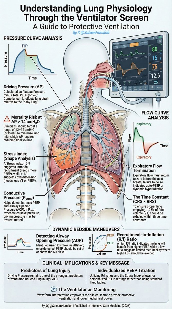 𝗦𝗮𝗹𝗲𝗲𝗺 𝗡. 𝗛𝗮𝗺𝗶𝗹𝗮𝗵 🫁| ســليم هميــله tweet media
