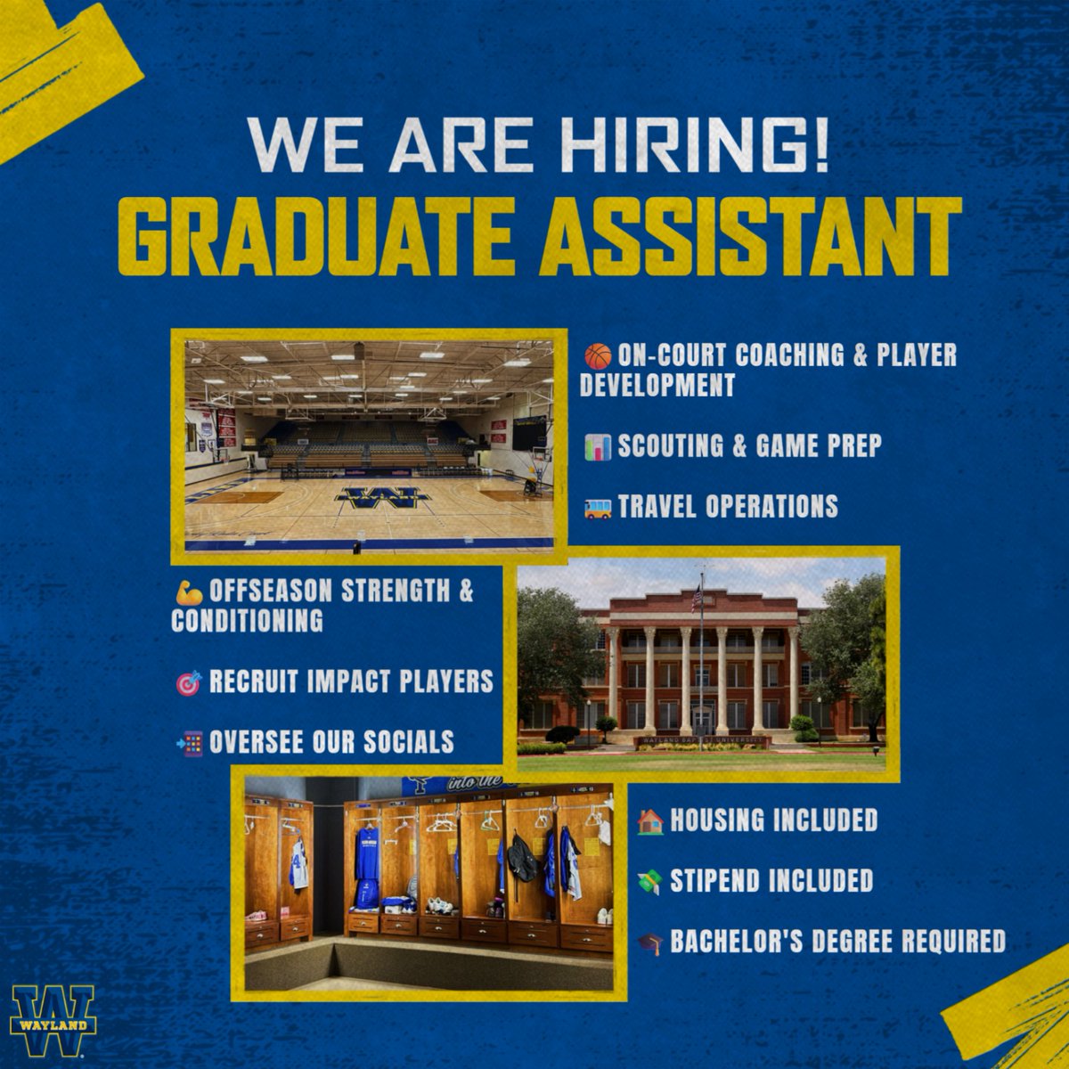 Wayland Baptist Flying Queens tweet media