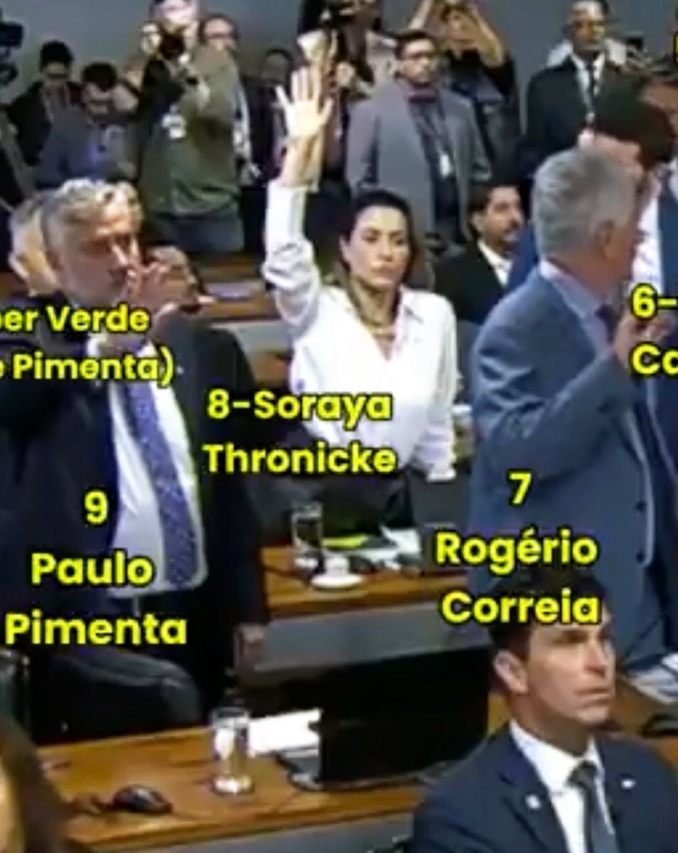 Essa é a Turma LulinhaMaster da Blindagem.
#FaxinaNoSenado