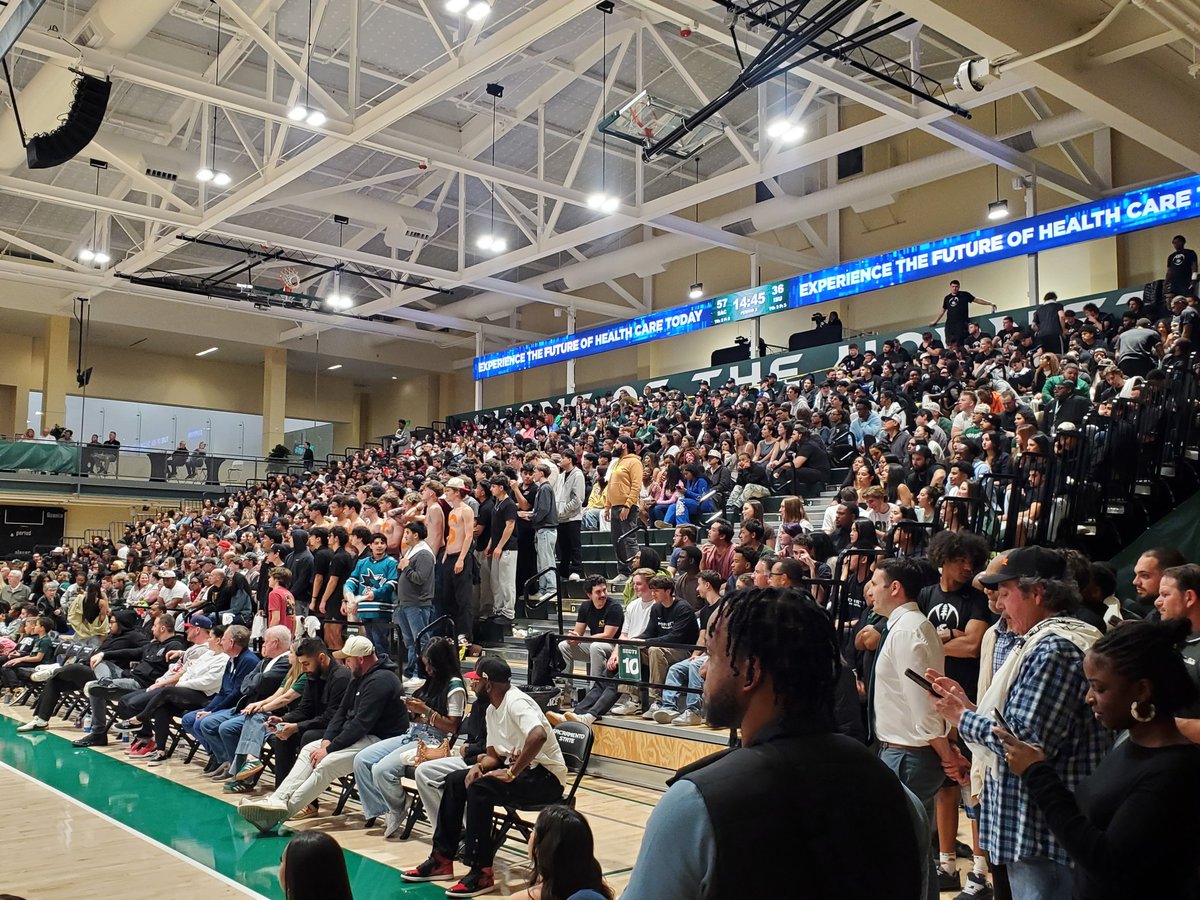 Tim Shestek tweet media