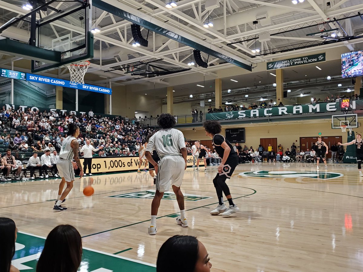 Tim Shestek tweet media