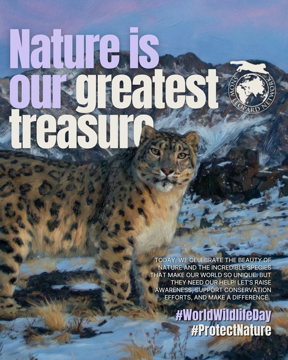 Snow Leopard Network tweet media