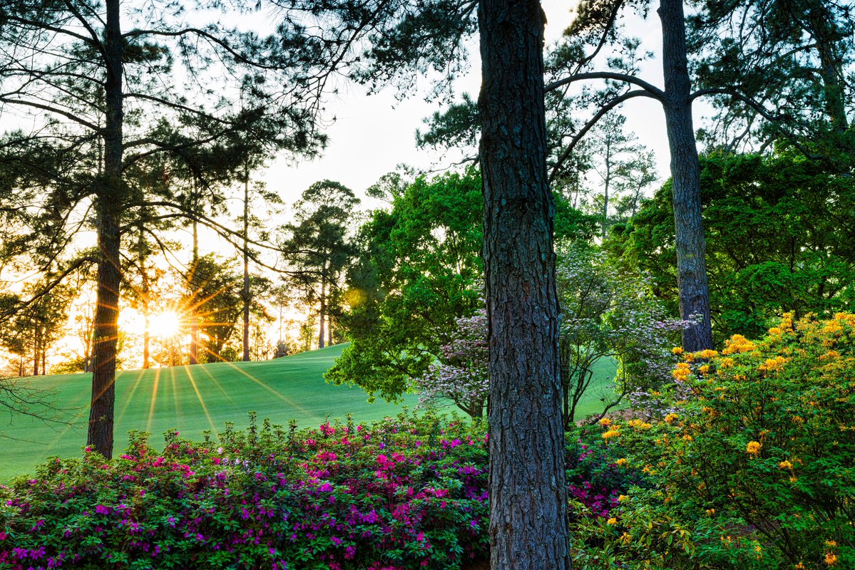 Rory McIlroy Tracker tweet media